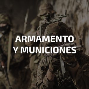 Armamento y Municiones